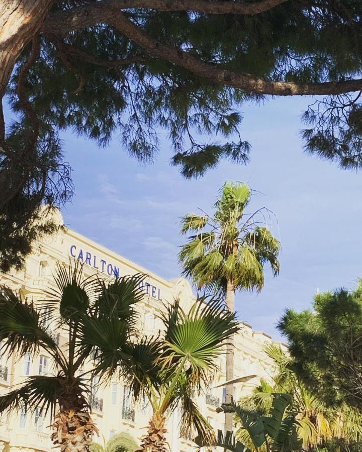 Festival De Palmiers, Plages-congres, Cocon De Calme Au Coeur De Apartment *