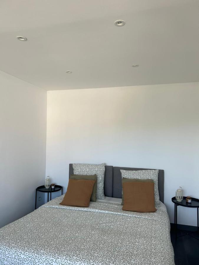Duplex Lumineux Renove Avec Terrasse Et Bains De Soleil Appartement
