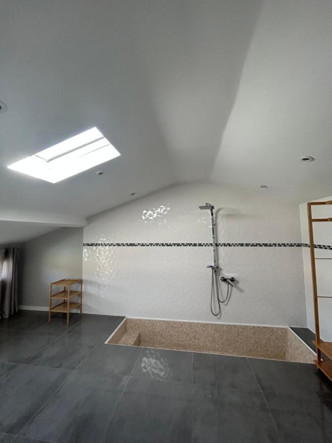 Duplex Lumineux Renove Avec Terrasse Et Bains De Soleil Appartement *