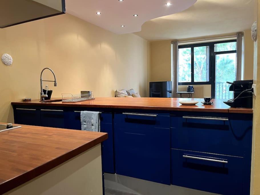 Montfleury Grand Confort Appartement *