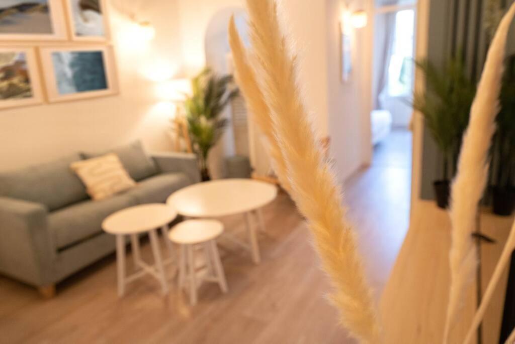 Magnifique 3 Pieces, Centre Apartment