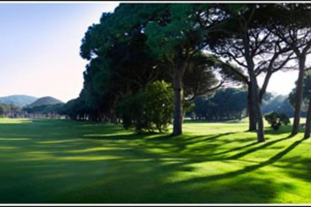 Enjoy Provence In The Time -calm-flavours-cul * Cannes