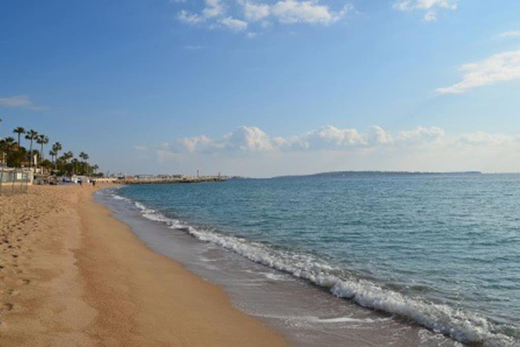Apartment Enjoy Provence In The Time -calm-flavours-cul Cannes
