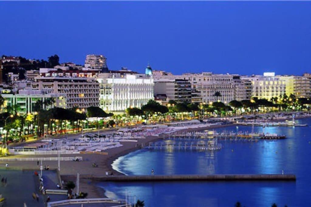 Palm Parking, Clim, Wifi 2' A Pieds Apartment *