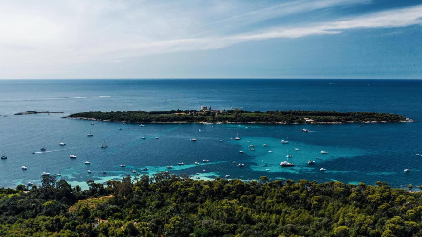 Suquet Forville Apartamento Cannes