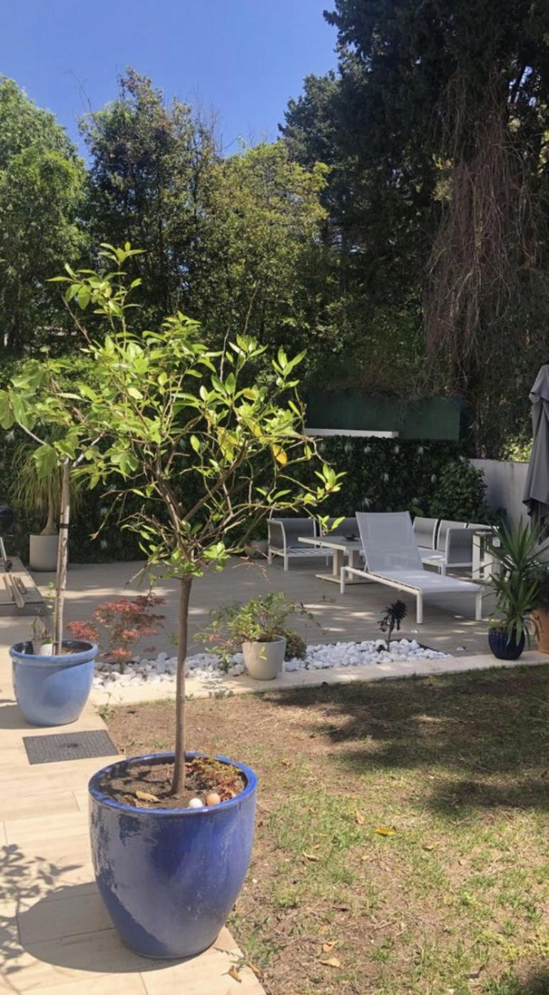 Avec Jardin A 10 Mn Du Palais