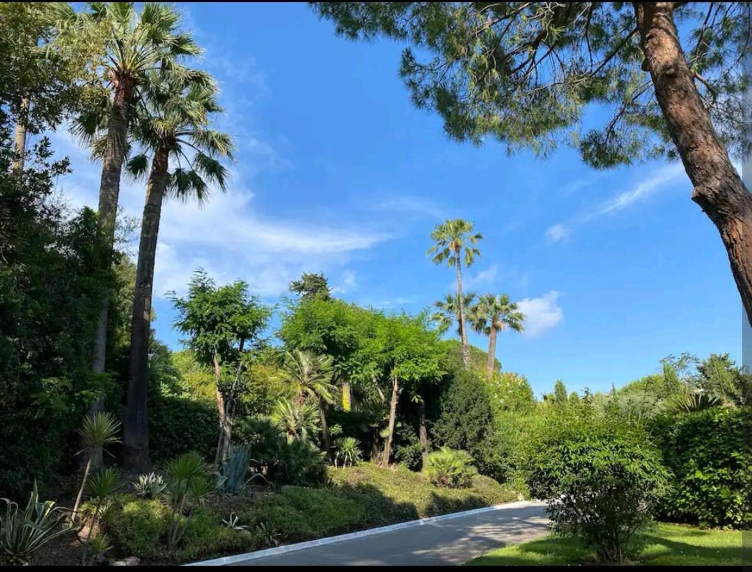 Magnifique Et Grand Studio, Piscine, Parking, Tres Calme De Standing Apartment *