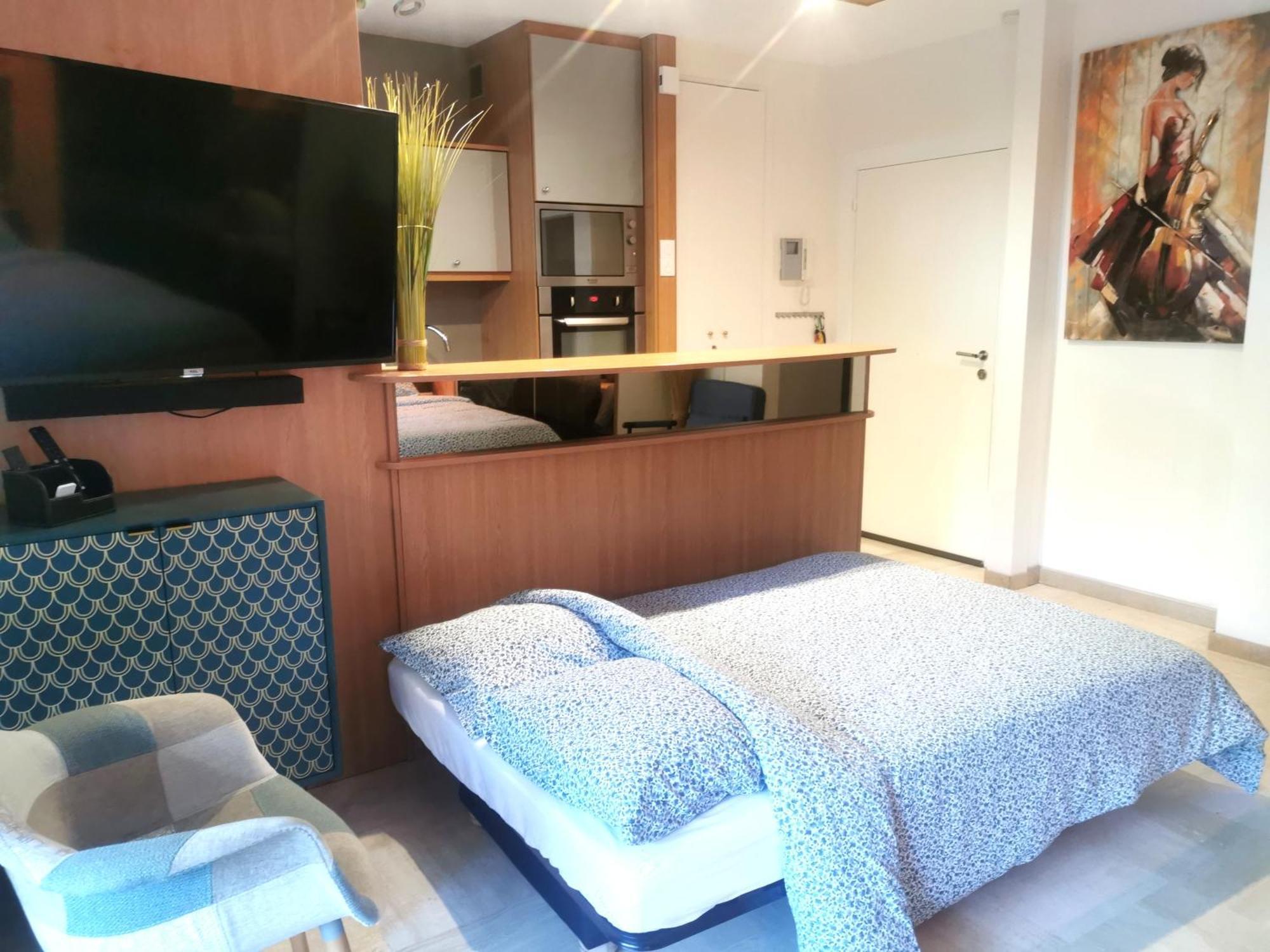 Magnifique Et Grand Studio, Piscine, Parking, Tres Calme De Standing Cannes