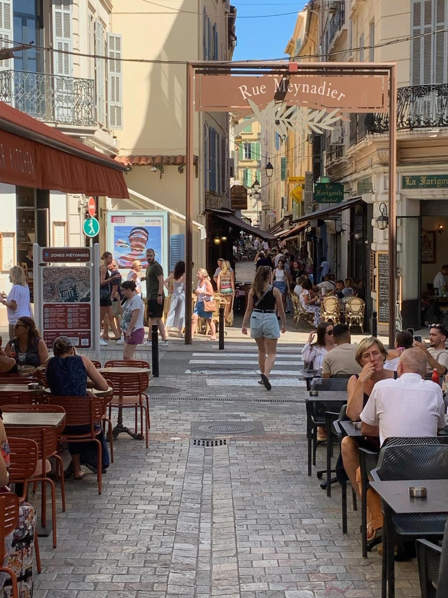 Festival De Palmiers, Plages-congres, Cocon De Calme Au Coeur De