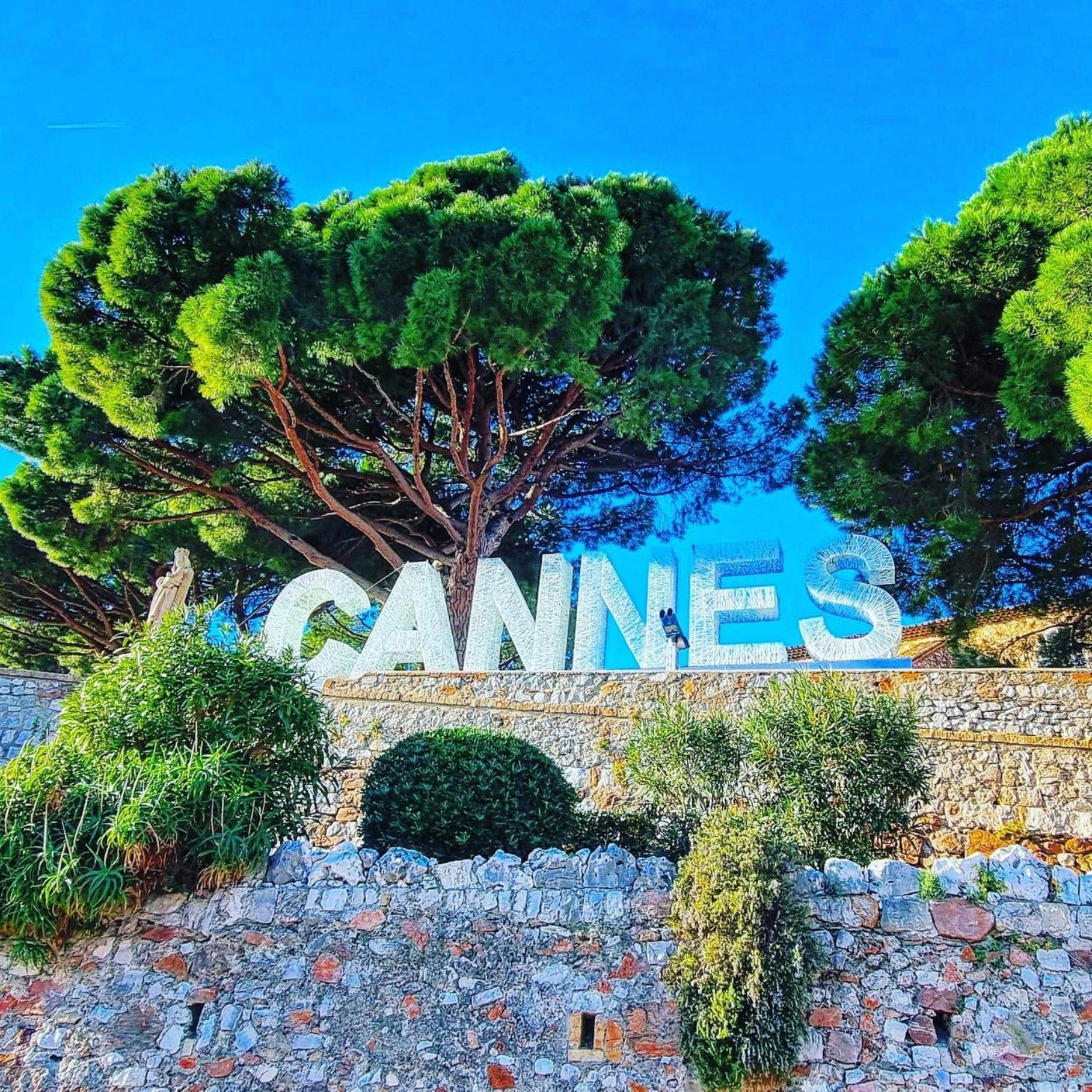 Location T3 A * Cannes