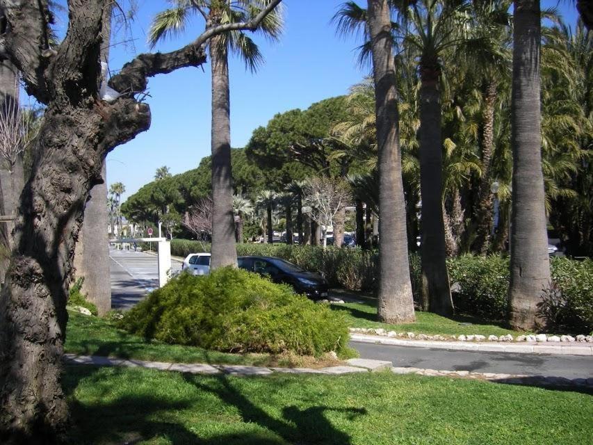 Karolina - Commodore Croisette Cannes