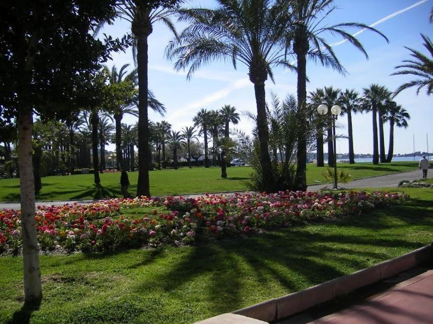 Apartment Karolina - Commodore Croisette *
