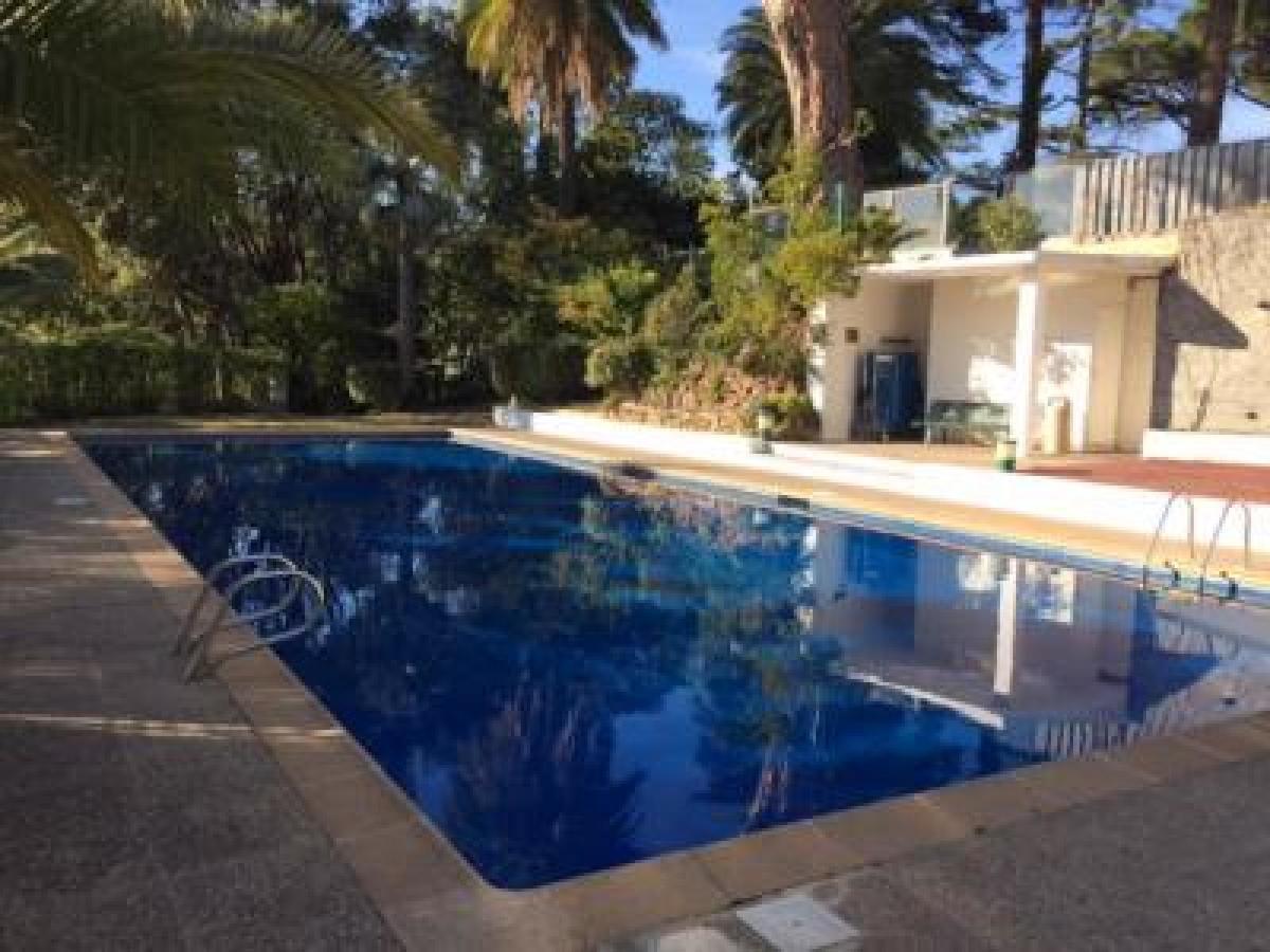 Esterel Apartment Cannes