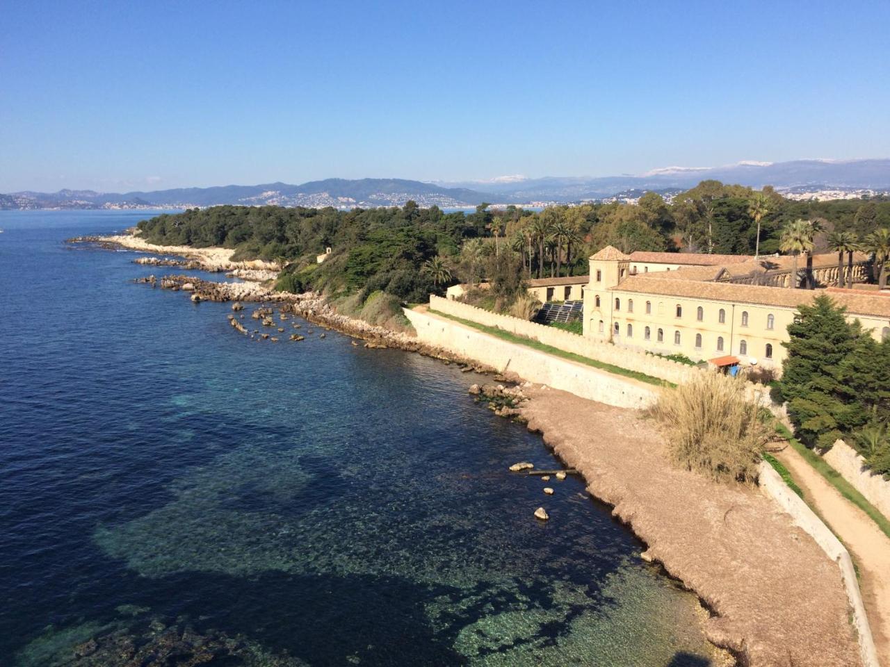 Cannes, La Palme D'or *