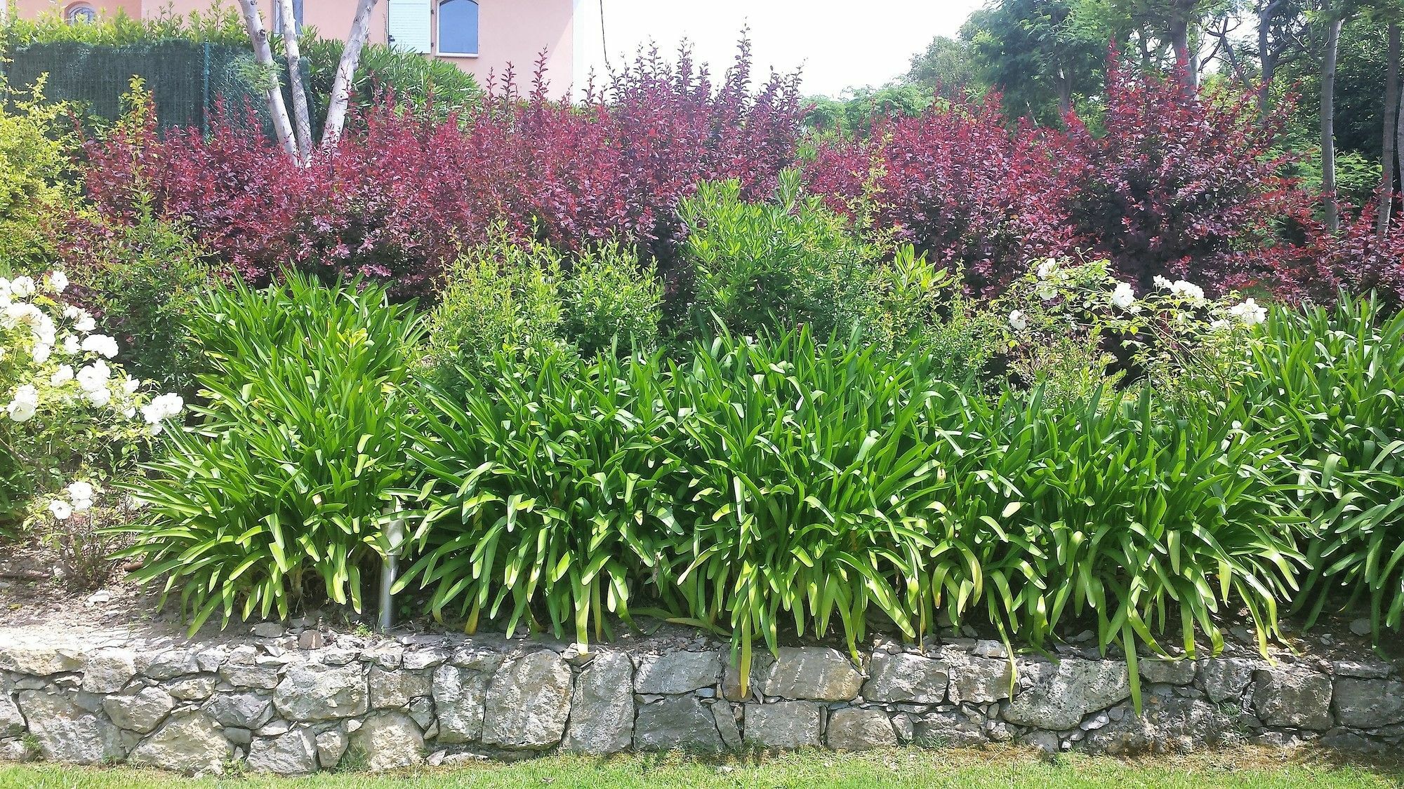 Elegant Beautiful Garden Apartment Cannes