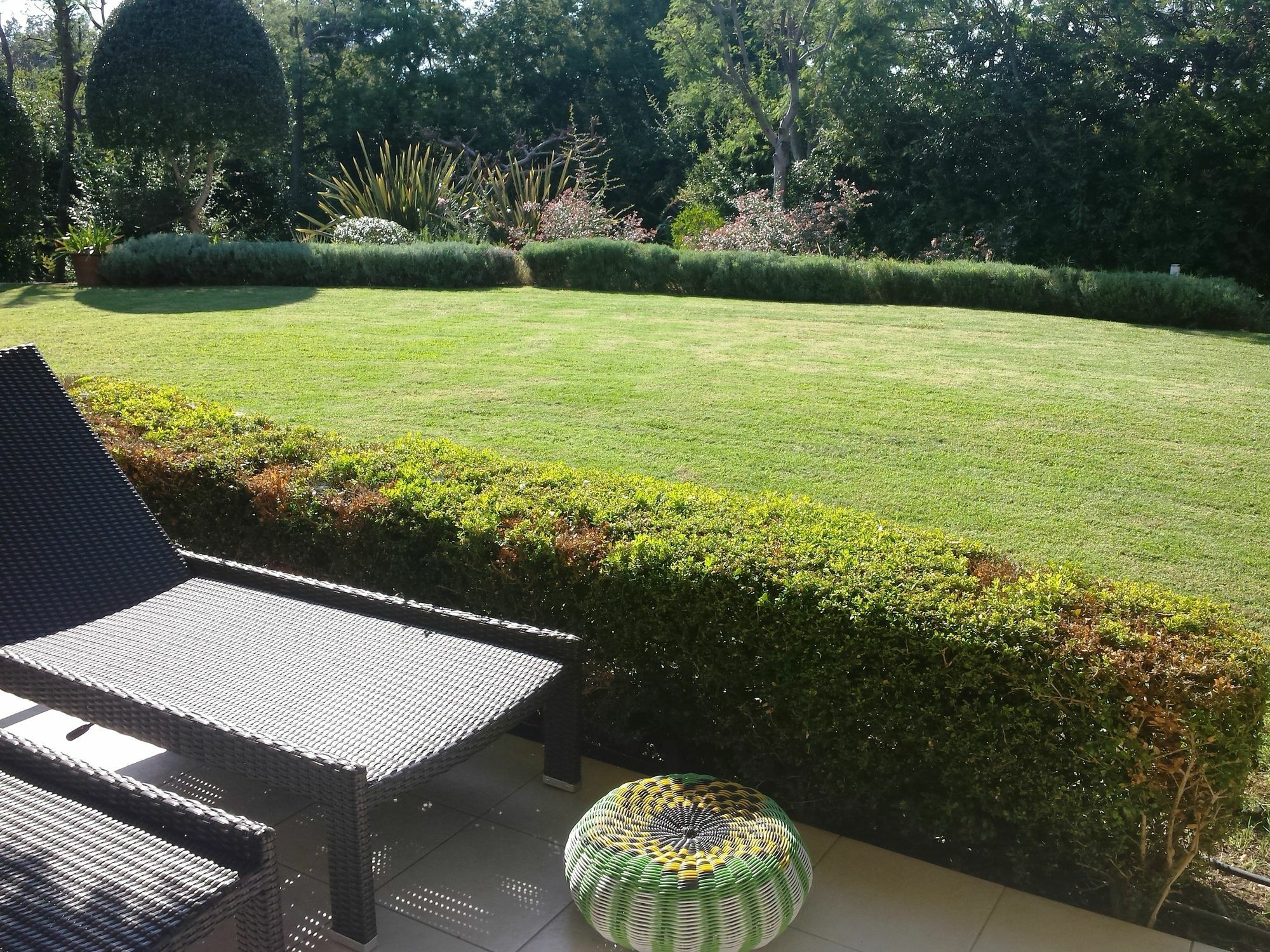 Elegant Beautiful Garden *