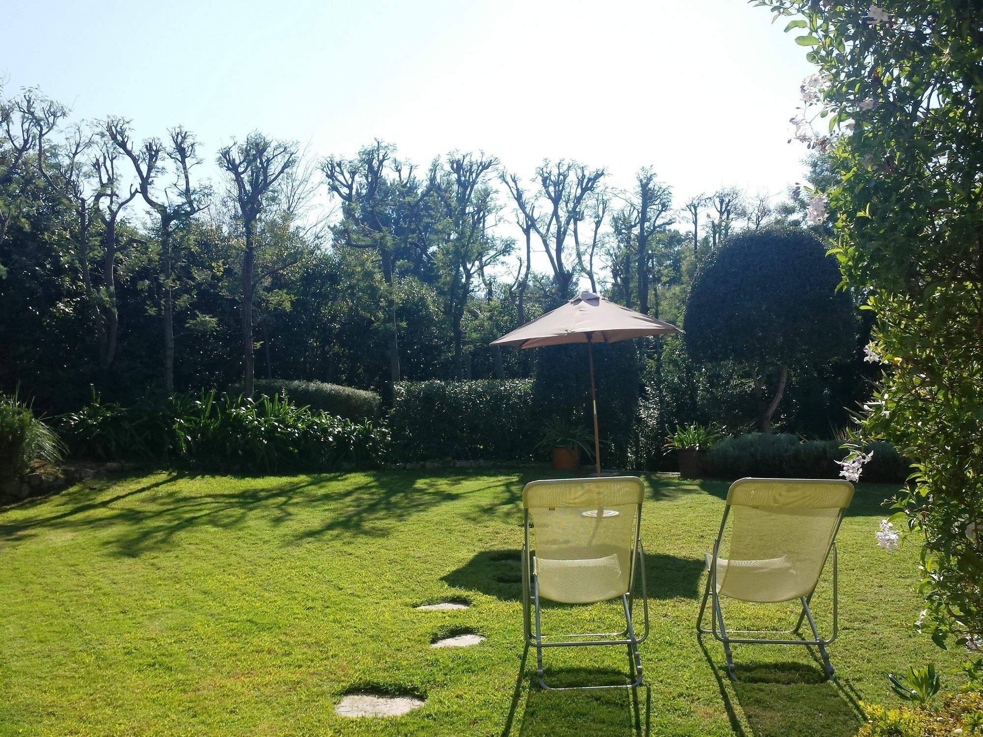 Elegant Beautiful Garden