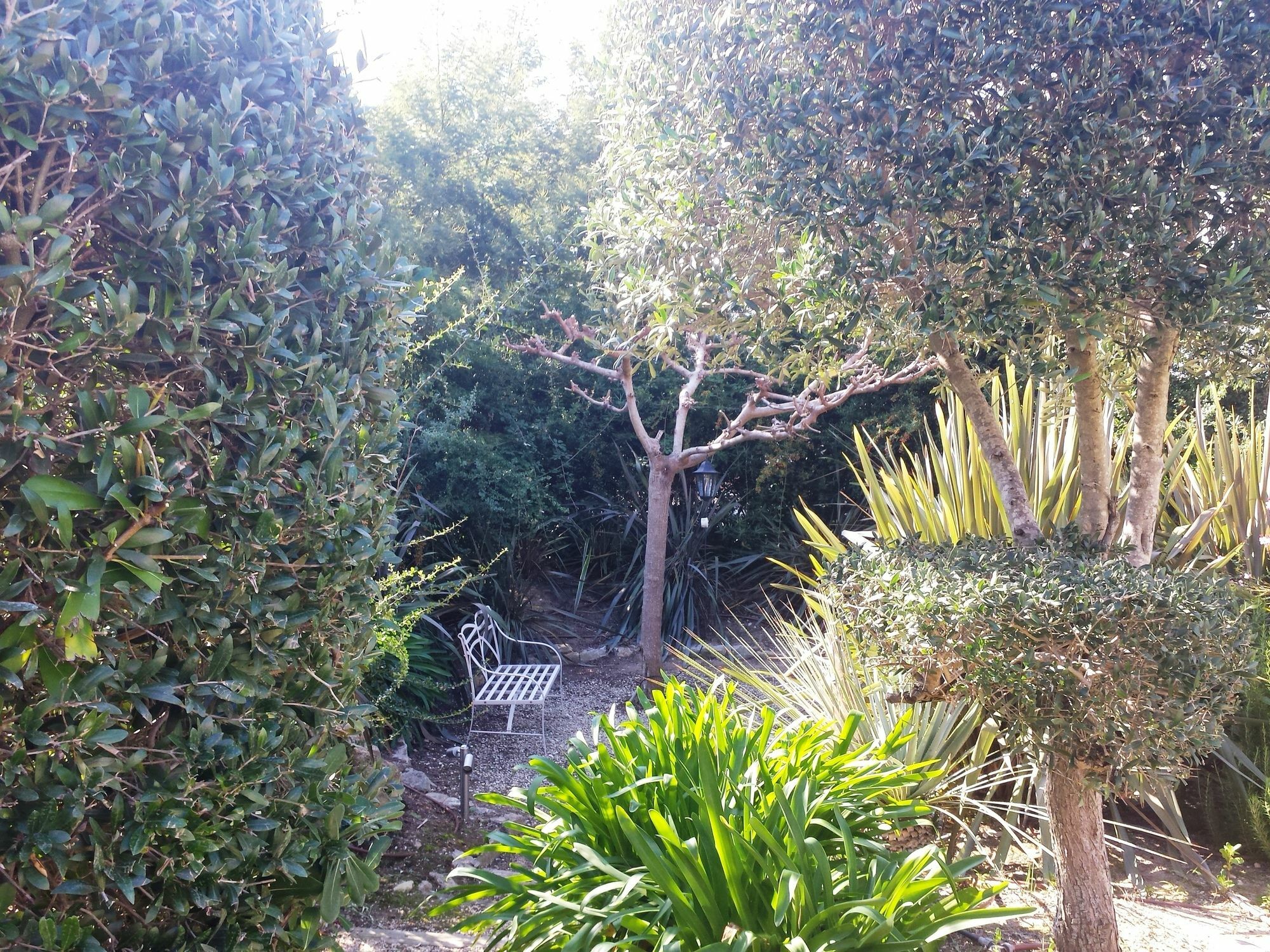 Apartment Elegant Beautiful Garden Cannes