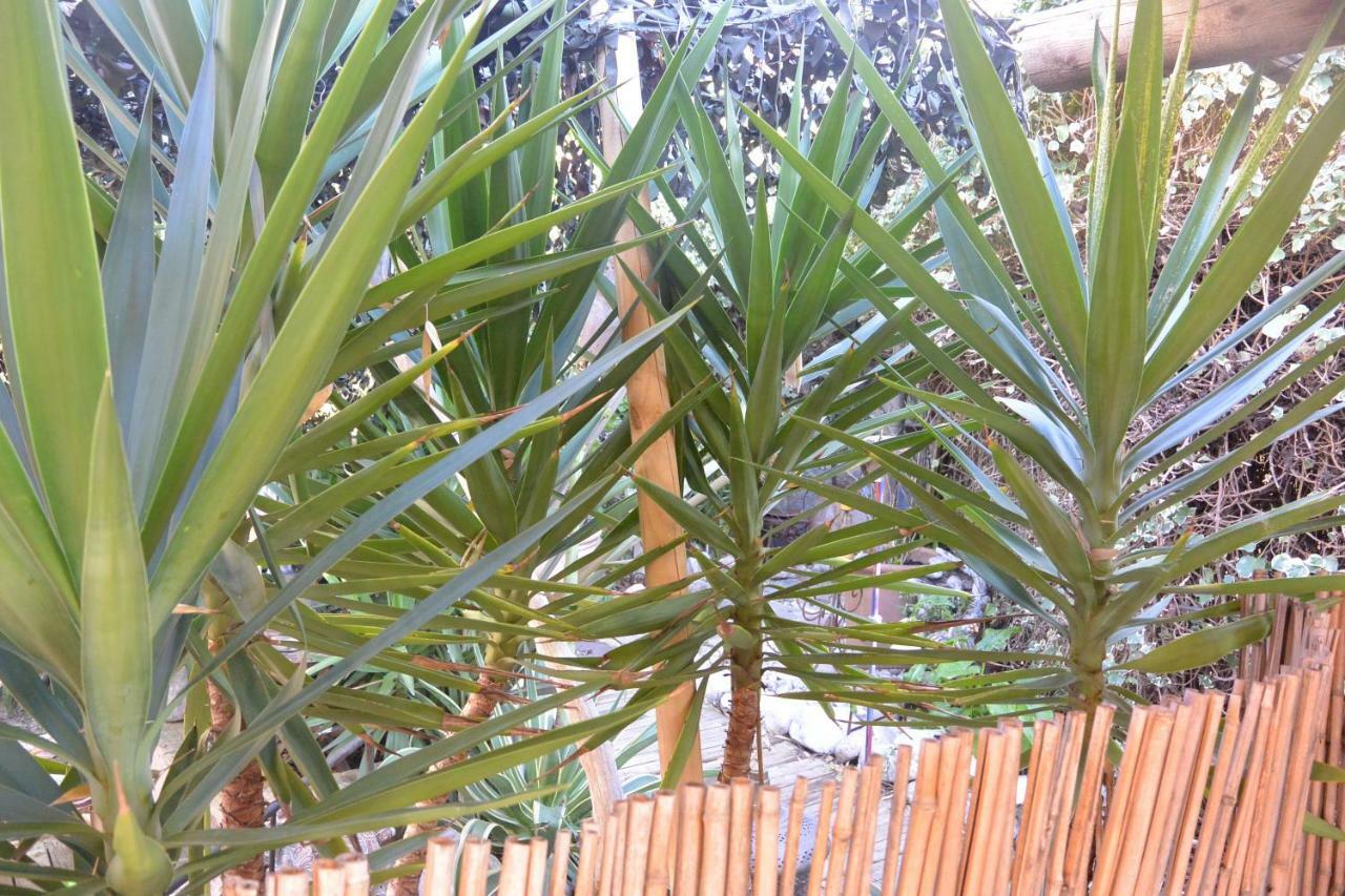 Apartment Le Cabana Cannes