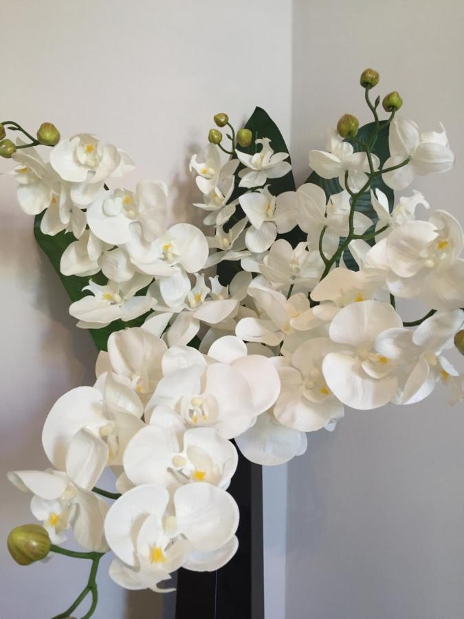 - Luxury Clara Cannes